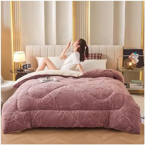 GOFOHIMI Duveteux Couette, Épaissir Consolateur Couverture en Cachemire d'agneau Épaissi Couette De Lit Doux Et Chaud pour l'hiver Literie, Laine et Cosy Épaissir Couverture,B,220x240cm(5kg)