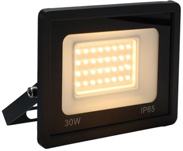 Alpinaluz Proyector LED Exterior 30W, 2850lm, IP65, Luz Cálida 3000K, Ángulo 120°, Soporte Ajustable, Carcasa de Aluminio con Driver Sellado Integrado y Chips LED CRI 80 para Jardines, Garajes y Patio