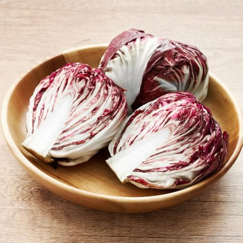semi di cicoria - interno biologici, varietà antiche giardino 100pcs