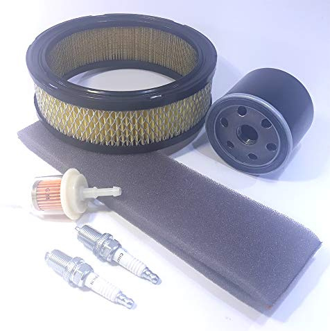 Kit de service pour moteur Briggs Stratton Vanguard OHV 303707 303777