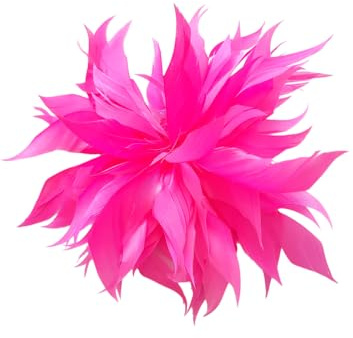 Brosche Anstecknadel Blume Feder Kleidung Geburtstag Geschenk