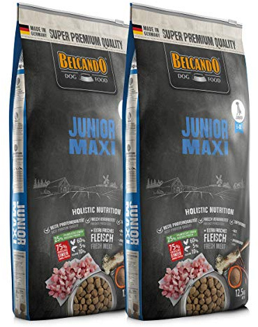 2 x 12,5 kg Belcando Junior Maxi- Sparpaket