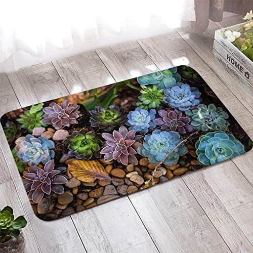Banemi Türmatte Innen, Antirutschmatte für Teppich 50X80cm Grün Braun Saftiger Stein Heimtextilien