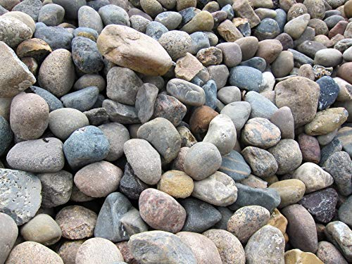 GABIONA - Pierres de gabion – 750 kg de galets de la mer du Nord Ø 60-80 mm – À remplir pour gabions avec maillage jusqu'à 5 x 10 cm