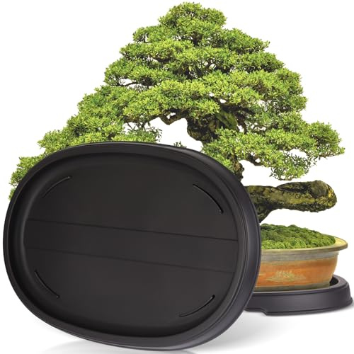 Pinkunn Bonsai-Feuchtigkeitstablett, Tropfschale aus Kunststoff, Pflanzen-Wasserfänger, Pflanzen-Untersetzer für drinnen und draußen, Kakteen, Sukkulenten, Bonsai-Baum, Stein Nicht im Lieferumfang