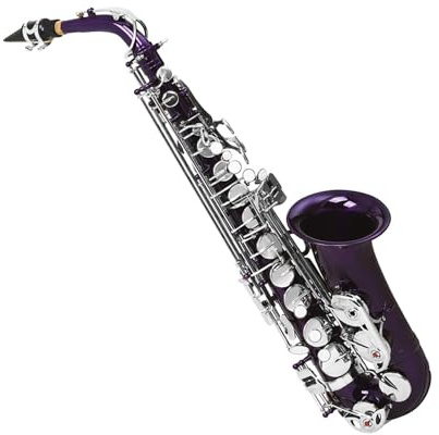 Saxophone für Anfänger Es Altsaxophon Instrumentenspiel(Type 1)