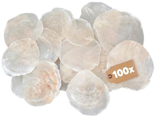 matches21 HOME & HOBBY Große Capiz Muschel-Scheiben 100 STK. Ø 5-8 cm Natur Perlmuttscheiben zum Basteln Dekorieren