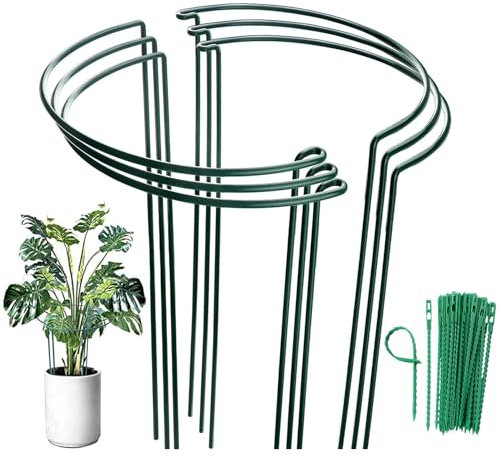MUAEEOK 6 Pack Metal Garden Stakes, Tall Plant Support Ring Cage, Large Supports for Tomato, Vegetable, Rose, Flowers, Vine (30x60cm)