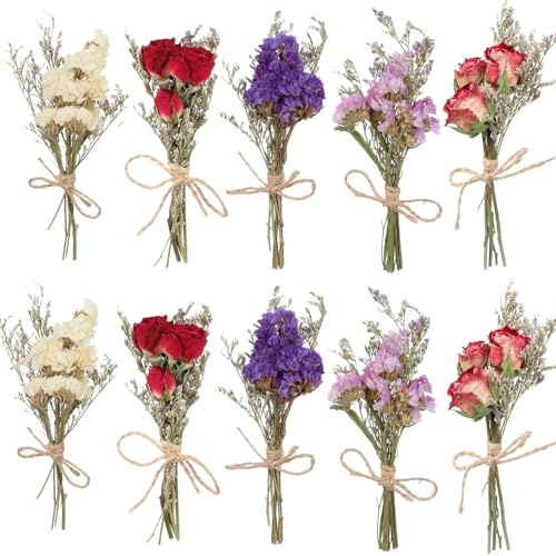 Små Torkade Blommor 12 Buketter Mini Boho Bukett Naturlig Förgätmigej Blomsterdekoration för Fest (Förgätmigej)