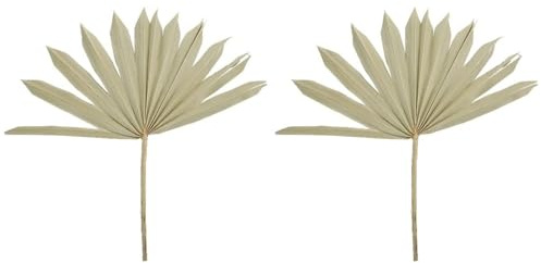 Lot De 2 Feuilles De Palmier Séchées, Feuilles De Palmier Tropicales Séchées, Feuilles De Palmier Séchées, Feuilles De Palmier Séchées En Vrac, Feuilles De Palmier Séchées, Éventail De Palmier