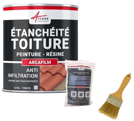 Réparation et étanchéité tuile, gouttière, cheneau, trou, fissure, souche, cheminée, ardoise : Arcafilm pack - 0.75 L (jusqu'à 0.5 m²) Gris - ARCANE INDUSTRIES