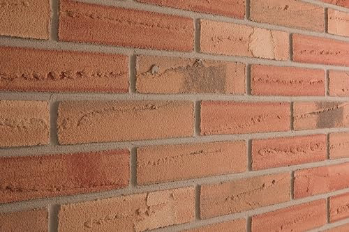 ELASTOLITH 99540 PALERMO Flexibler Verblendziegel, HELLROT, 50x210 mm