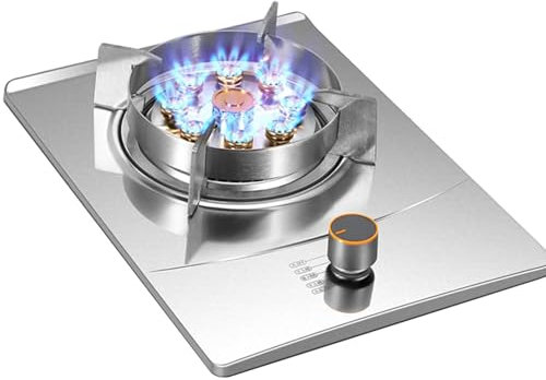 Stufa A Gas, Fornello A Gas A Porta Singola, Fornello Fierce Fire Da 7 KW Con Anello Di Fuoco A Gas Incorporato, Fornello Da Campeggio In Acciaio Inossidabile Con Protezione Anti-spegnimento(NG)