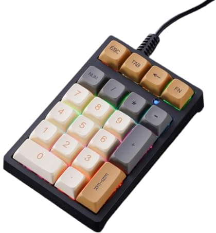 GRwzuPUEG Teclado numérico T21 Teclado numérico mecánico retroiluminación con Cable portátil Compatible con Finanzas Contabilidad del Tesoro(Glimmer)