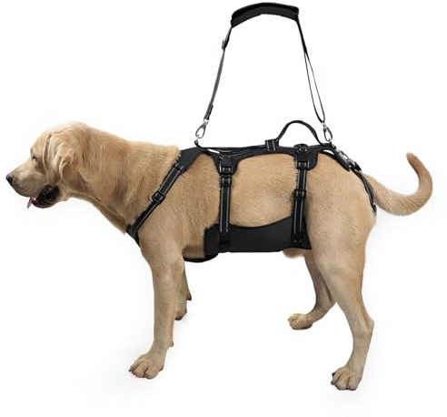 Coodeo Imbracatura per Cani, Supporto Completo e Fodera di Recupero, Regolabile con Cinghie Traspiranti per Cani Anziani, Disabili, con Artrite e Paralisi, aiuto per Camminare (Nero, M)