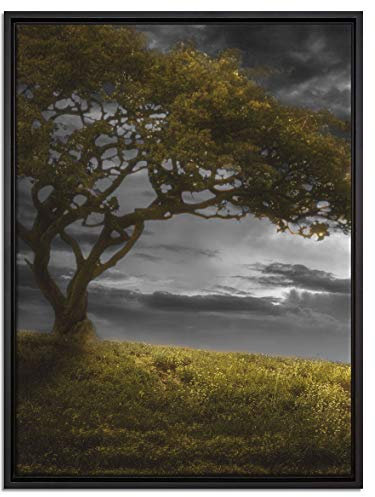 Pixxprint Alleinstehender Baum schwarz, weiß Leinwandbild 80x60 cm im Bilderahmen, Wandbild, Schattenfugenrahmen, Kein Poster