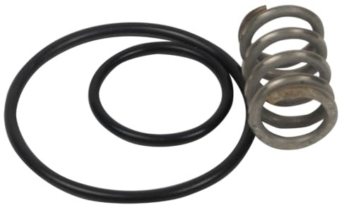 Lioninox Ensemble de Ressort et Joints pour poignée de Robinet douchette