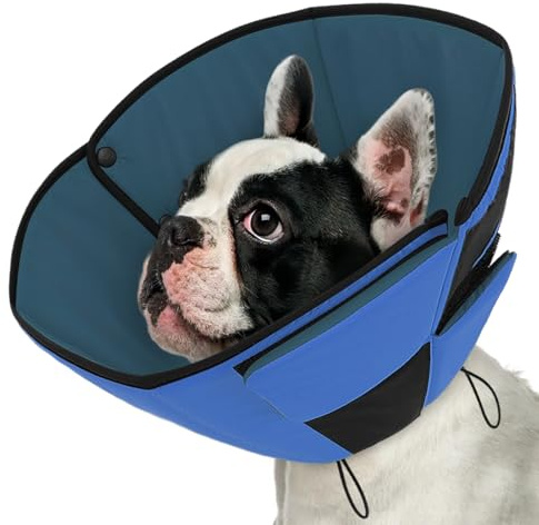 Queenmore Halskrause Hund, Weicher atmungsaktiver, Genesungshalsband nach Operationen,Verstellbarer elisabethanischer Schutzkragen, Leckschutz gegen Belecken und Beißen, für Hunde & Katzen (M, Blau)