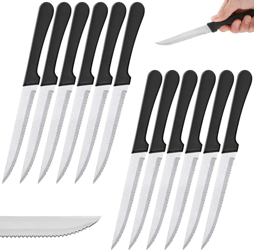 Renimove Coltelli da bistecca ccciaio inox 22 cm lama da 12 cm resistente alla corrosione ergonomico lavabile in lavastoviglie (12 Pezzi)