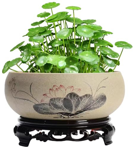 SMELEYOU Piantatrice Di Ciotola Di Loto Per Semi Di Fiori Di Loto Pentole A Pianta In Ceramica Per Piante In Base Con Base Di Plastica Squisita Pentola Bonsai Rustica Per Giglio