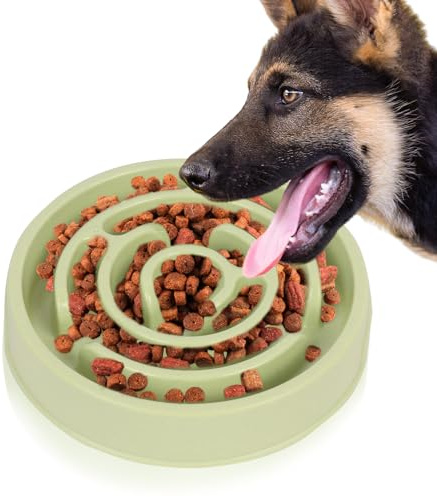 Slow Feeder Dog Bowl, Slow Feeding Dog Bowl, Pet Slow Down Eating Bowl Anti-Choking, Healthy Eating Bowl for Dogs, Cats (Light Green)