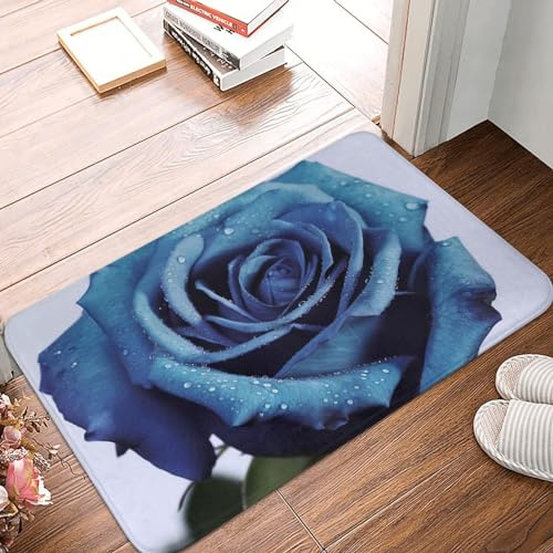Bunt Fußmatte Türmatte Bettvorleger 40×60cm für Terrasse,Hintertür,Eingang