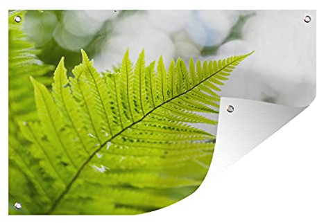 MuchoWow Outdoor-Poster Poster Wanddeko draußen Deko Garten Gartenposter 120x80 cm Blatt eines Farns vor einem verblassten Hintergrund