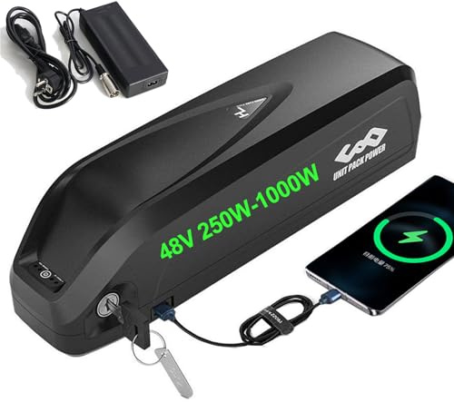 UPP 48V Batterie de vélo électrique pour 1000W 500W 250W 350W Moteur Avant Moteur arrière Hub Moto Batterie pour kit de Roues ebike Batterie- Batterie ebike