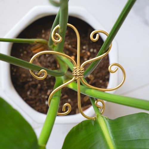 YOHSNOR Monstera Lot de 5 supports pour plantes 10,4 cm – Supports de tige à crochet durables pour une croissance saine, stabilisateur pour feuilles et coquilles de tortue, entretien facile des