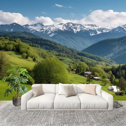 Genérico Decoración del hogar Fotomural 300x210cm Naturaleza MontañAs Praderas Paisajes. Papel Pintado Panorámico ExtraíBle Para Despegar Y Pegar Verde Para salón Dormitorios,Comedores HD Papel Tapiz