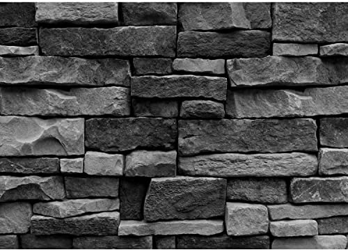 Runa Art Papier peint intissé mur de pierre d'effet 3D 352 x 250 cm Toison Mur XXL Tableaux Muraux Tapisserie Photo Décoration Murale Salon Chambre noir 9455011b