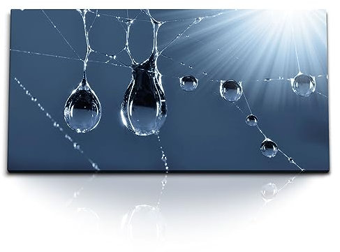 Paul Sinus Kunstdruck Bilder 120x60cm Wassertropfen in Spinnennetz Kunstvoll Blau Sonnenschein