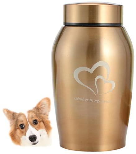Urne souvenir,Urne pour animaux de compagnie,Urnes funéraires pour chiens et chats,Urne commémorative en acier inoxydable,Urne pour chien,Urne commémorative adaptée aux chats et aux chiens (Gold)