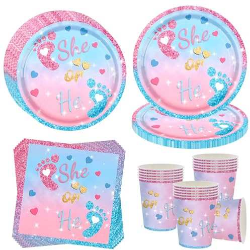 OMZSXK Gender Reveal Partygeschirr für 16 Gäste,Gender Reveal Partyteller Baby Shower Geschirr,Babypartys Pappteller Becher Servietten He or She Boy or Girl Rosa Blau Geschlecht überraschung Deko