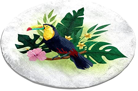 Tukan-Vogel-Teppich, rund, für Schlafzimmer, Teppich, weich, waschbar