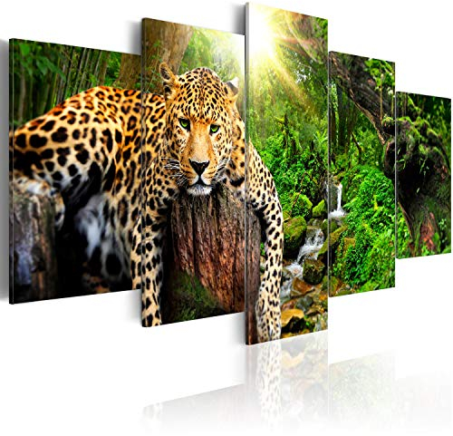 B&D XXL Acrylglasbild Tier 00x50 cm 5 Teilig Wandbild auf Acryl Glasbilder Kunstdruck Moderne Acrylglas Platte Wanddekoration Geschenke Heimdekoration Glasbild Leopard Wald Natur g-C-0031-k-n
