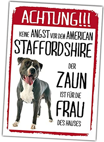 American Staffordshire Terrier Schild Achtung Zaun Frau Spruch Türschild Hundeschild Warnschild Geschenkidee lustiger Spruch Hundemotiv Aluminium Wetterfestes Hundeschild