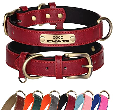 Didog Hundehalsband aus Leder, personalisierbar für kleine, mittelgroße und große Hunde, weich gepolstert, strapazierfähig, mit graviertem Namensschild, Rot, Größe L