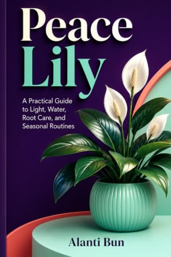 Peace Lily: A Practical Guide to Light, Water, Root Care, and Seasonal Routines