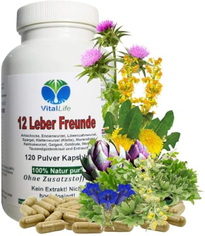 LEBER Vital Komplex 120 KAPSELN 12 Leberfreunde plus Leberkräuter Bitterkräuter Bitterstoffe MARIENDISTEL ARTISCHOCKE LÖWENZAHN WERMUT ENZIAN...100% NATUR pur. OHNE Zusatzstoffe 26312