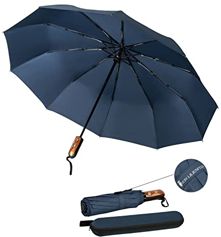 VON LILIENFELD Regenschirm Taschenschirm Sturmfest durch 10 Fiberglas-Streben Auf-Zu-Automatik Teflonbeschichtung Reiseetui Clark