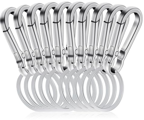 10 Stück Carabiner Schlüsselanhänger aus Zinklegierung - Robuster Metall Karabiner Mit Schnellverschluss, Feder Clips für Herren und Damen