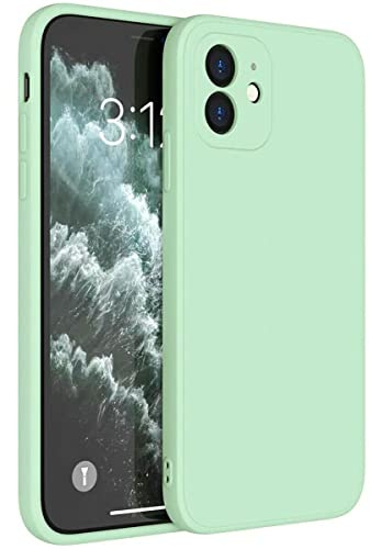 Mixroom - Cover Custodia Case per iPhone 11 Protezione Copre Fotocamera in Silicone TPU Opaco con Bordi Piatti Colore Verde acqua