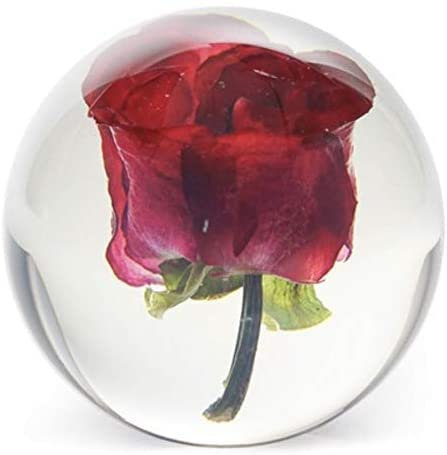 Dynasty Gallery FloraCulture Briefbeschwerer, rote Rose