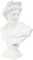 predolo 11.6 Inch Classical Greek God of Sun And Poetry Head Bust Statue Roman Sculpture