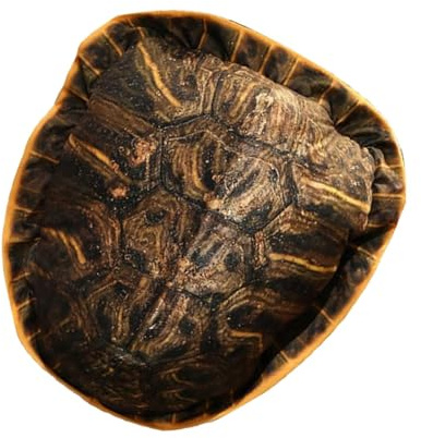Wearable Turtle Shell Plush Pillow, Funny Turtle Shell Plush Pillow, Wearable Plush Turtle Shell Pillow | Cute and Fun Wearable Turtle Throw Pillow for Bedroom, Work Area, Game Room, Sofa, Kids Room