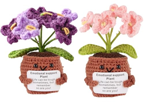 2 Stück Häkelblumen, künstliche Vergissmeinnicht Blumentopf, handgefertigt, gestrickte Blumen mit Ermutigungskarte, emotionale Unterstützung, Pflanze, Vergissmeinnicht, Geschenke für Zuhause, Büro