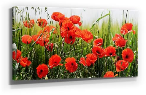 Wunderschöne Mohnblumenbilder auf Leinwand, Mohnblumenfeld - als 120x60cm großes XXL Leinwandbild. Wandbild als Hintergrund und Deko für Wohnzimmer & Schlafzimmer. Aufgespannt auf Holzrahmen