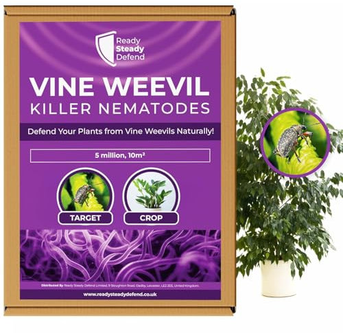 Vine Weevil Killer Nematodes for Plants Covers 100 m² (50 million) | Organic Heterorhabditis Bacteriophora | Safe for Pets & Wildlife | Effective Root Feeding Larvae Control | For Ornamentals & Fruits