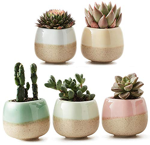SUN-E 5 in Set 2.2 Inch Container Planter Ceramic Flowing Glaze Five Color Base Serial Set Succulent Plant Pot Cactus Plant Pot Flower Pot Idea